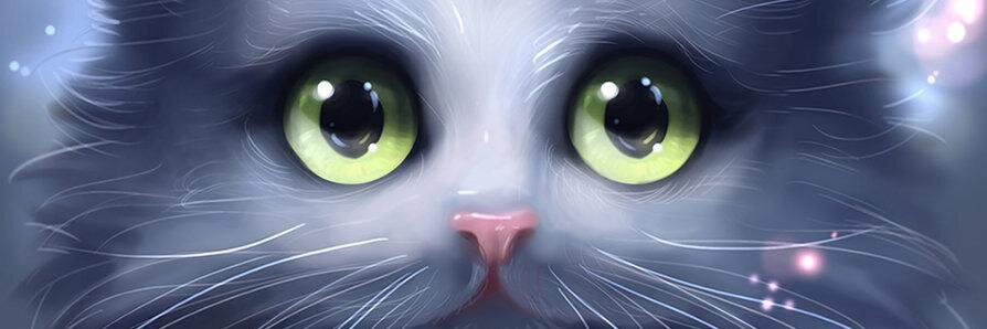 Retwiiii's profile banner image