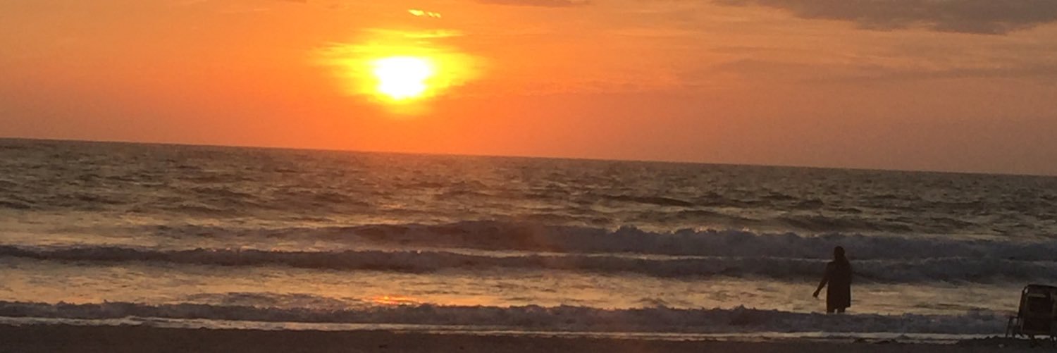 sullibbfan's profile banner image