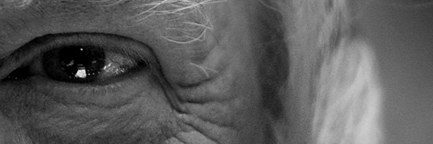 big081574's profile banner image
