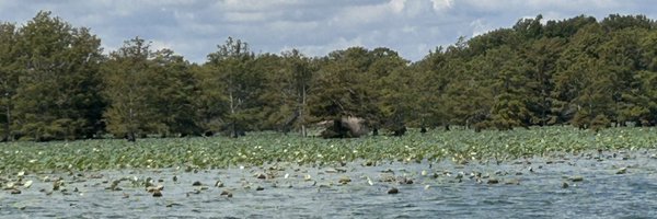 ICantHolla Profile Banner