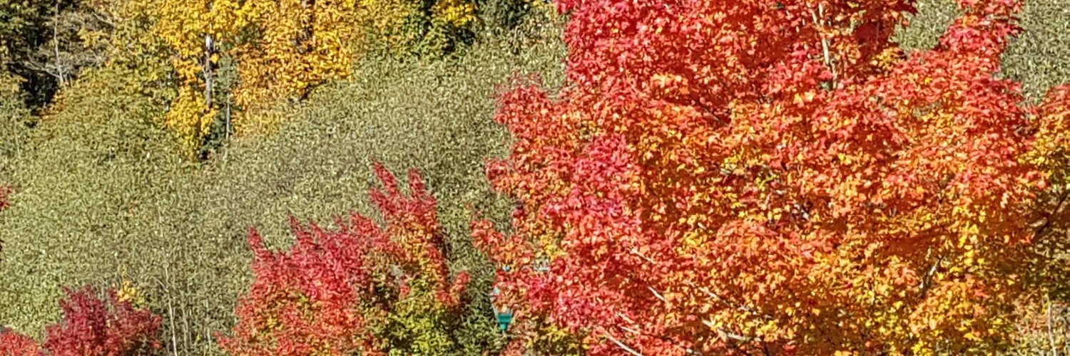 Nalish_SLI's profile banner image