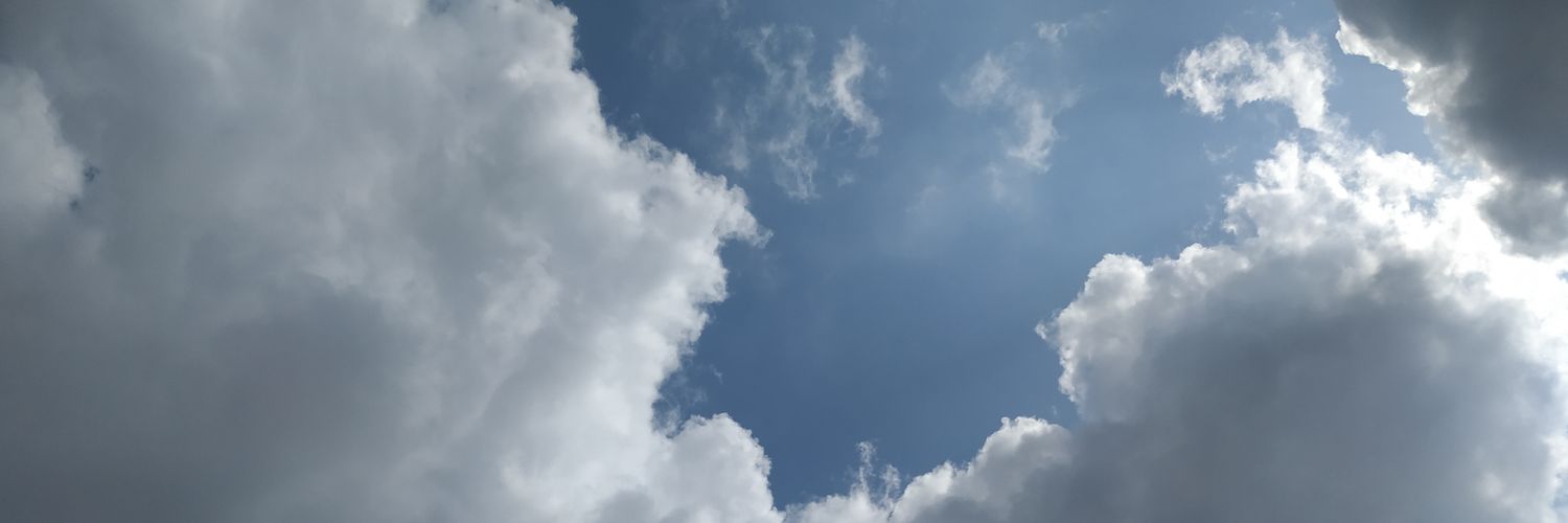 micheldnz's profile banner image