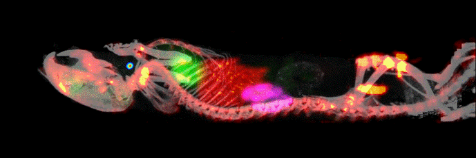 TrendBio Pty Ltd banner