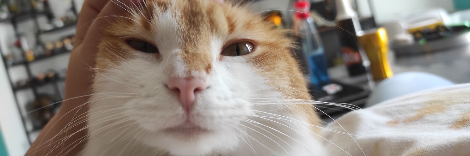mybifidus 1ere du nom banner