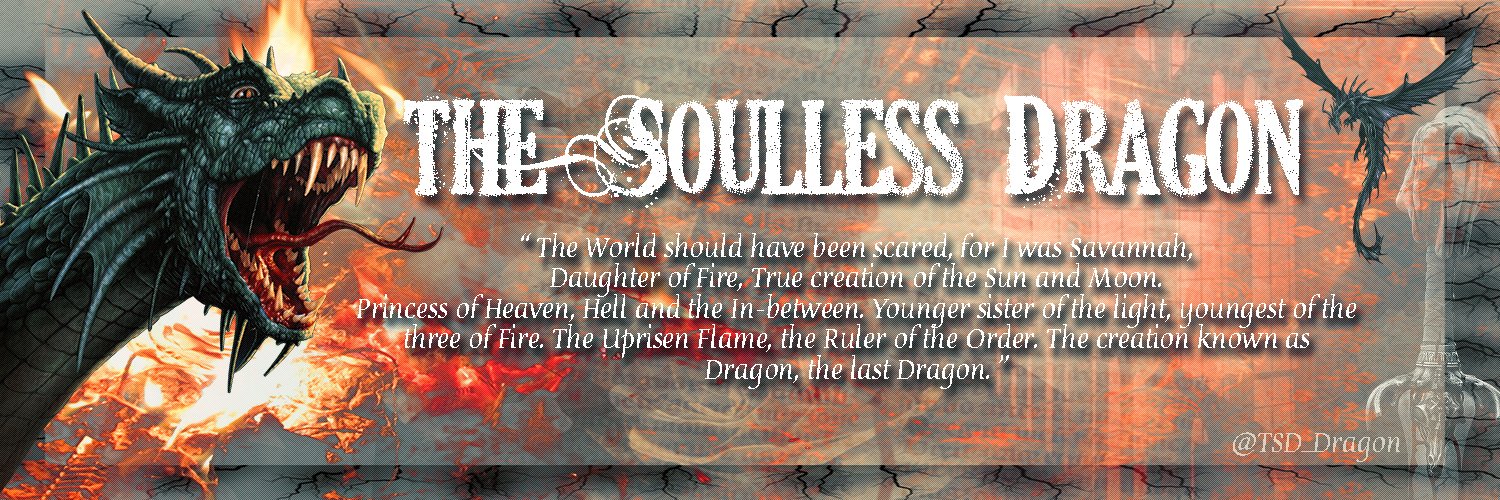 The Søullëss Dragon⁴⁸¹ banner