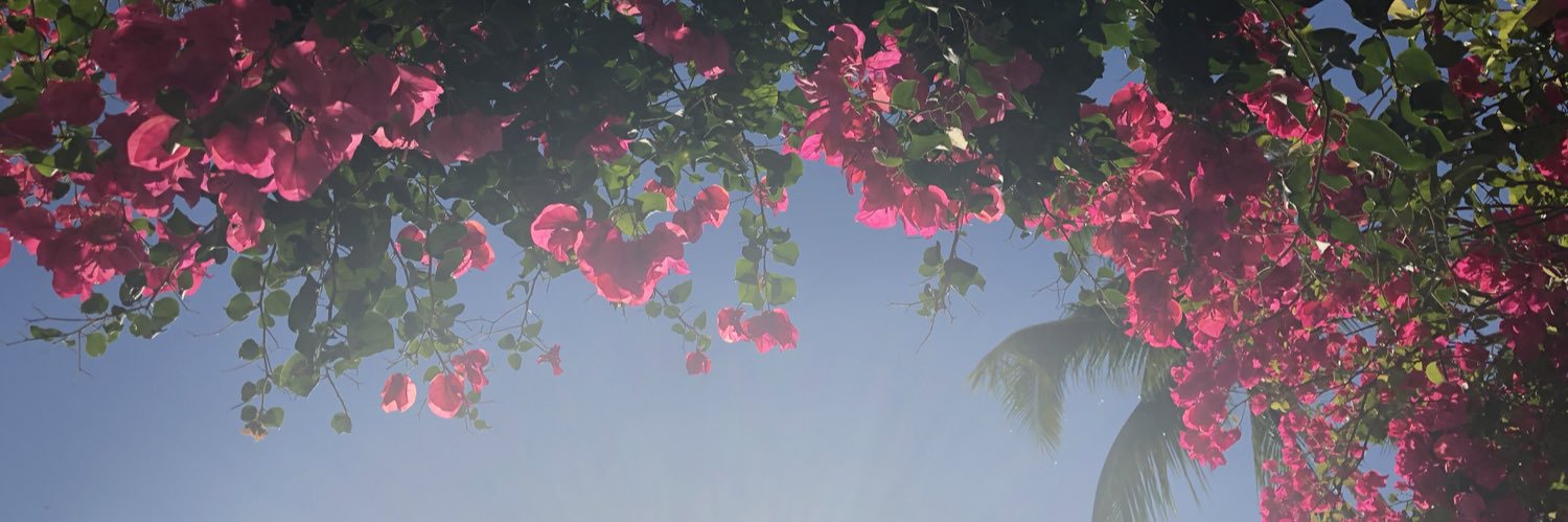 bella_sagee's profile banner image