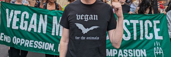 Veglam Profile Banner