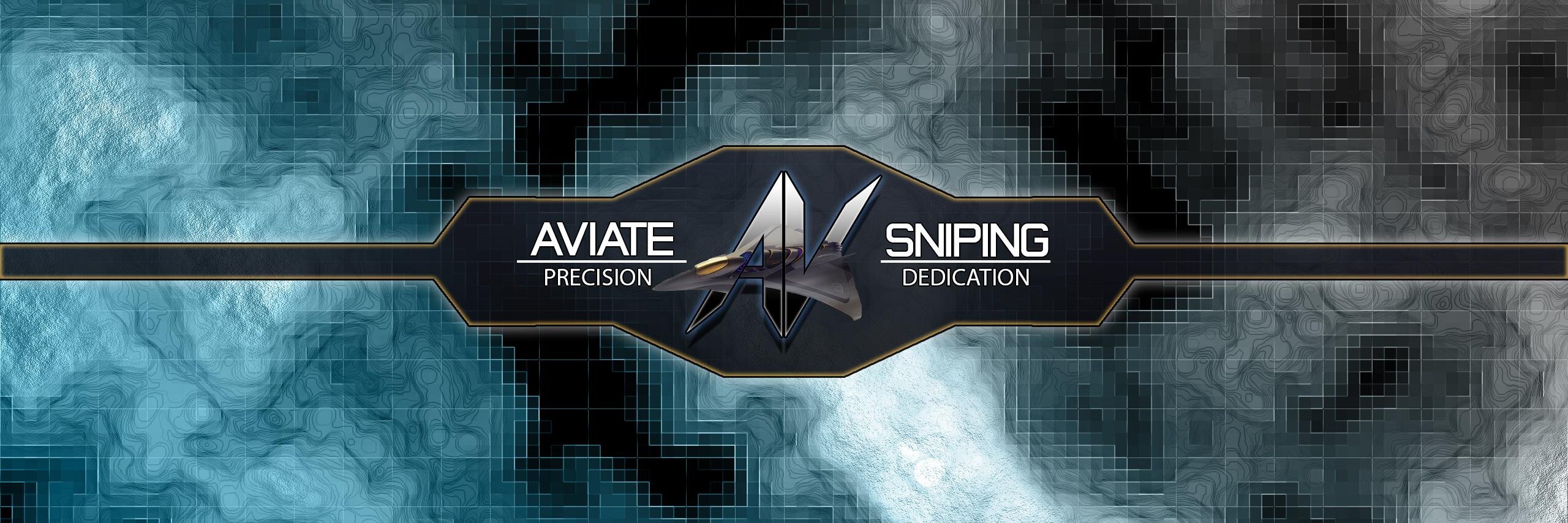 Aviate-Sniping banner