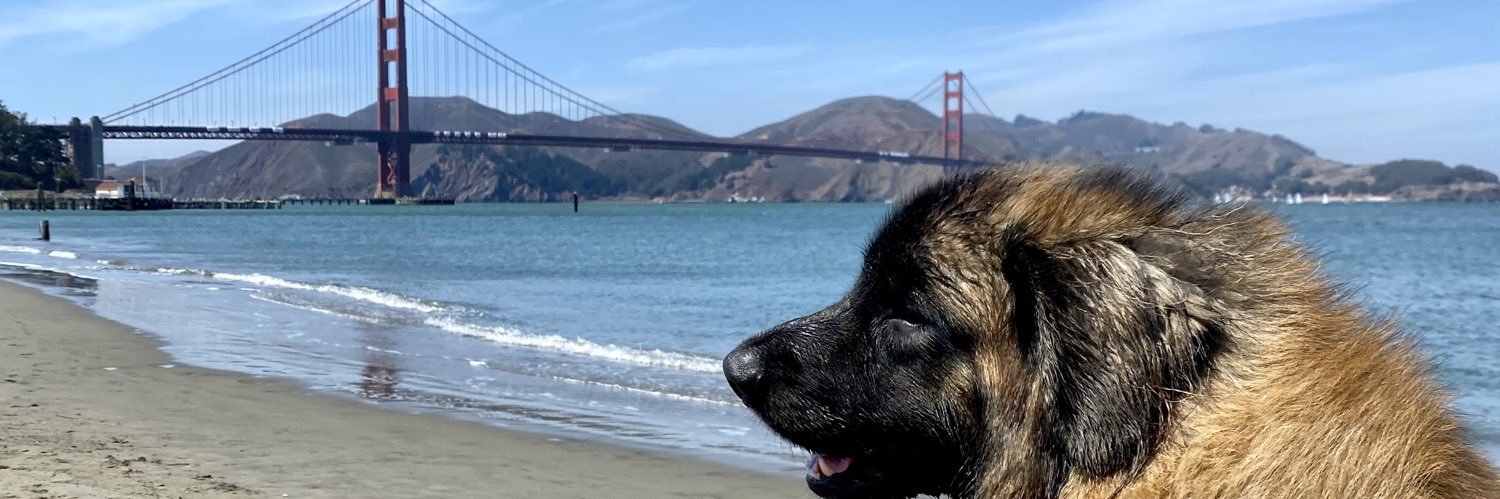 bradrnelson's profile banner image