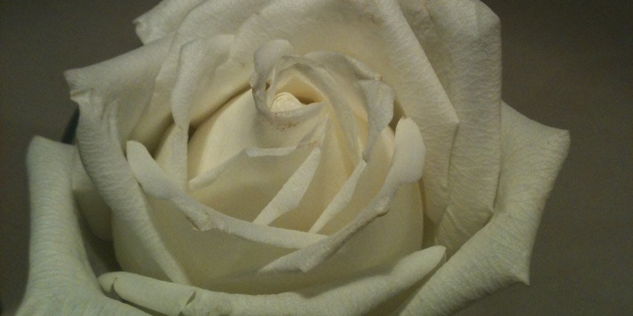 SimonaPVS's profile banner image