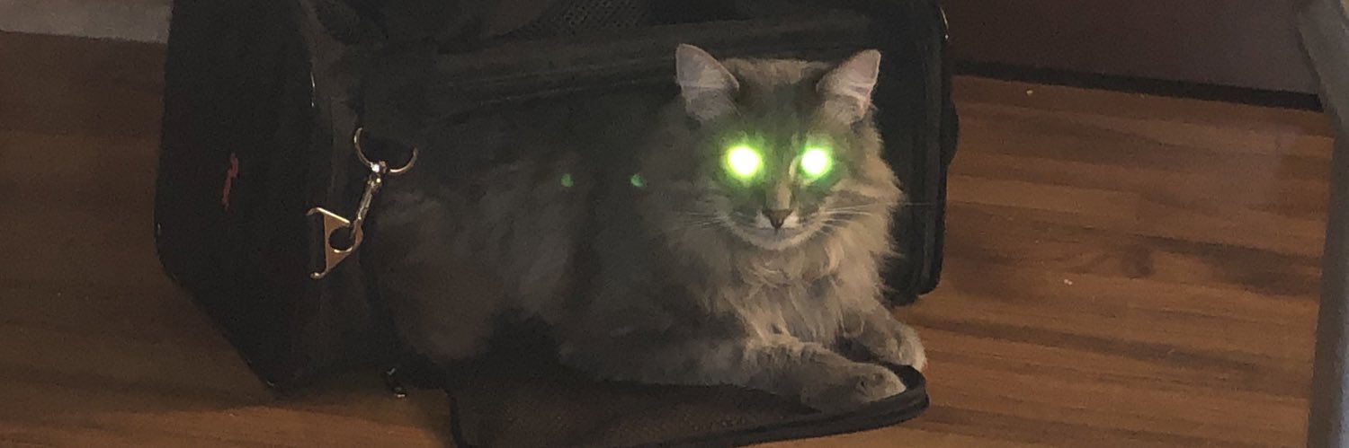 Billyfro's profile banner image