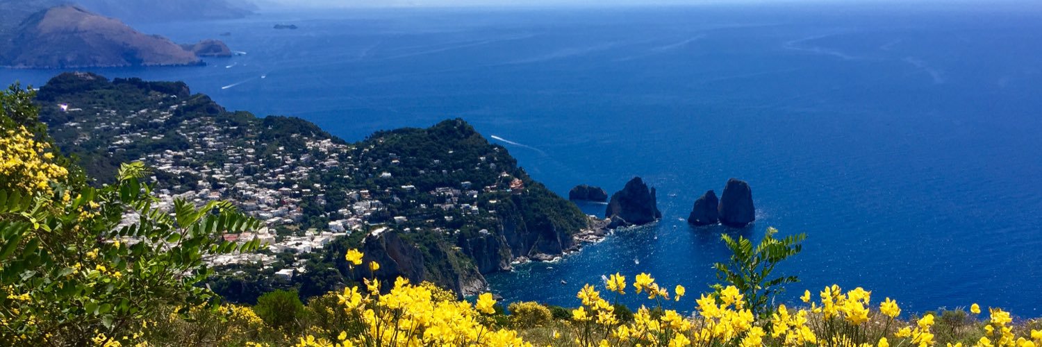 Tom Caestecker banner