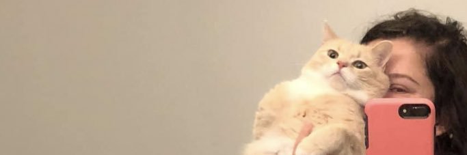 Sara banner