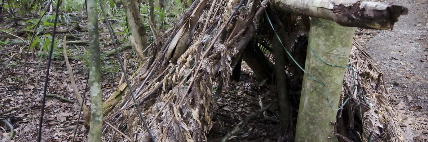 The Survival Curator banner