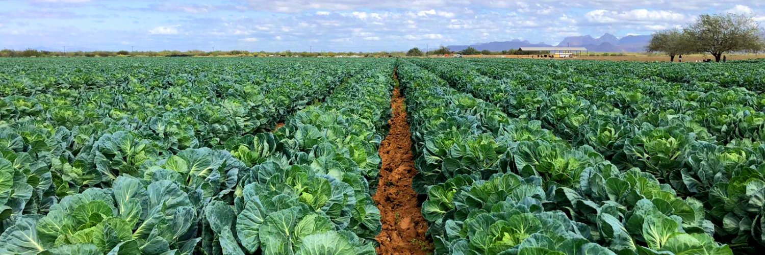 4EARTHFARMS's profile banner image