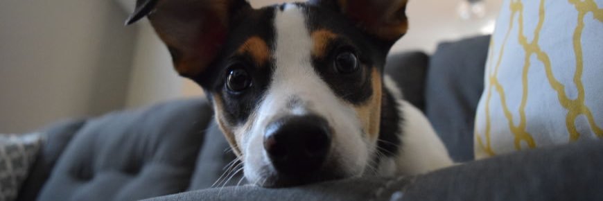Useful_Blonde's profile banner image