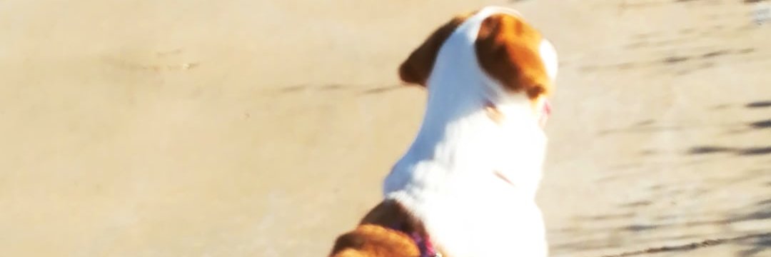 DrakeandDrink's profile banner image