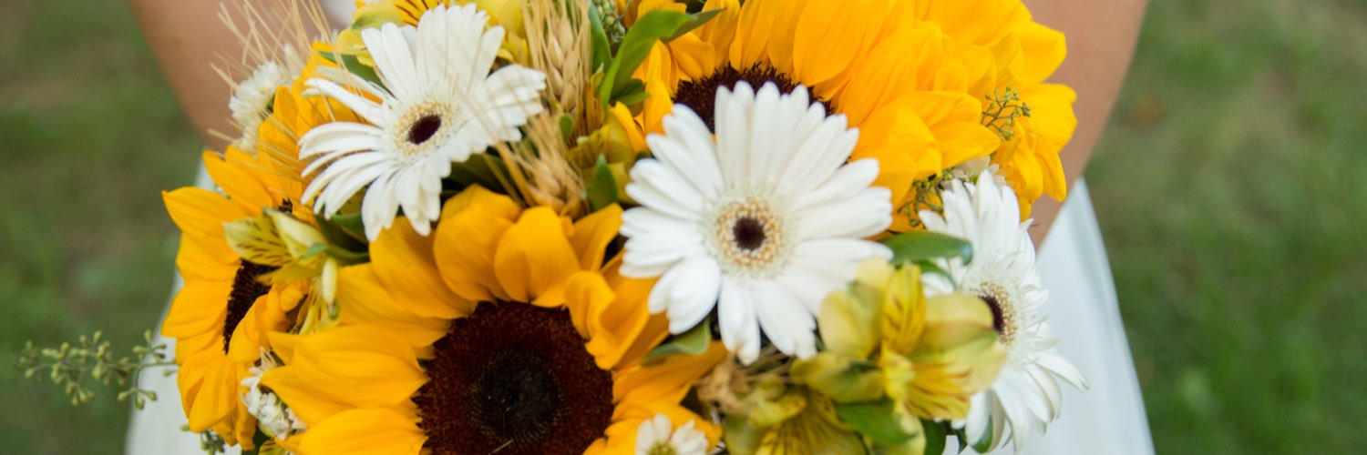cmsirni13's profile banner image