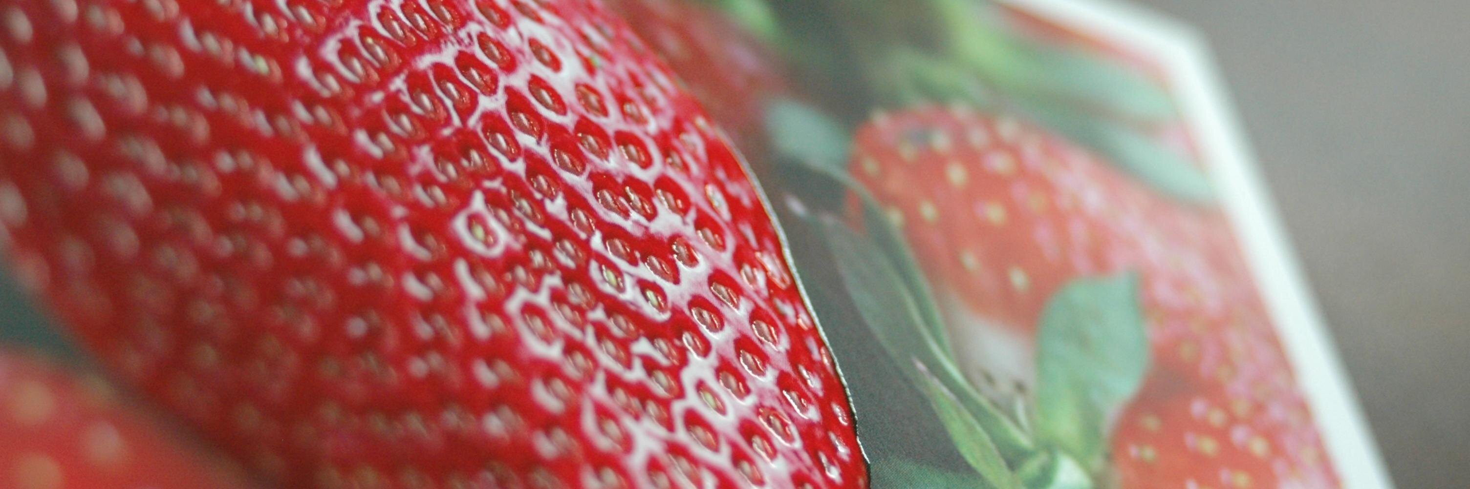 PreciGrafik's profile banner image
