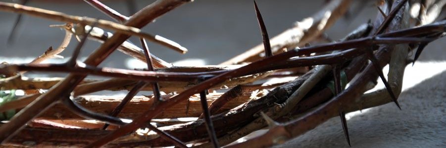 Brunodants's profile banner image