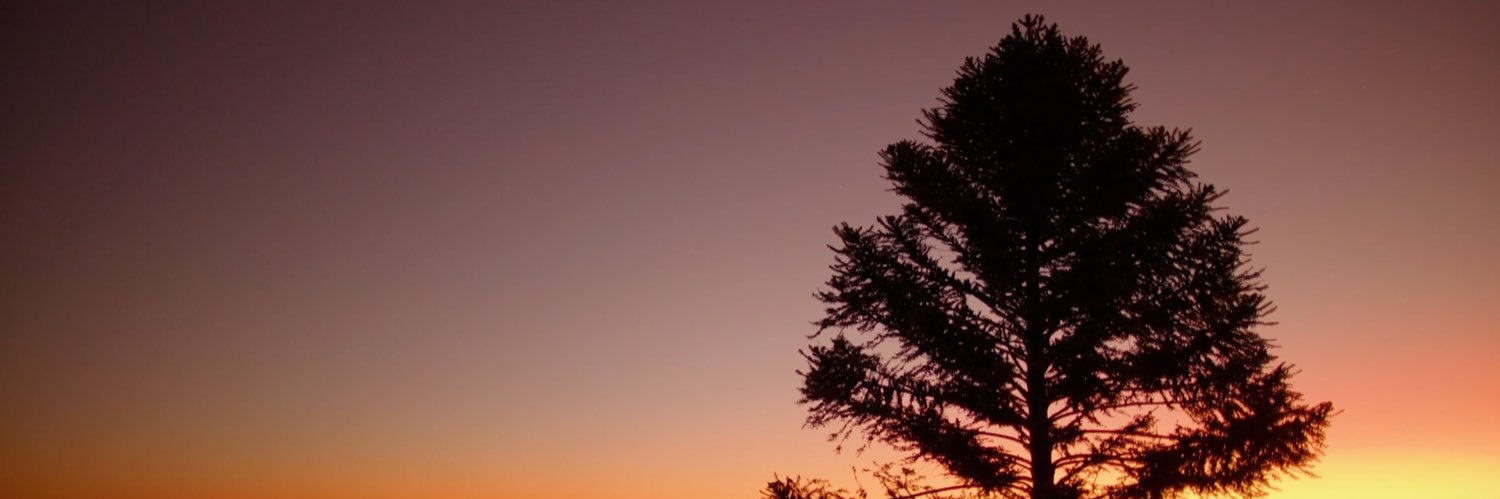 PVCShawnWalker's profile banner image
