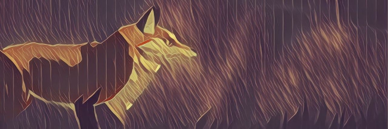 Ruwbz's profile banner image