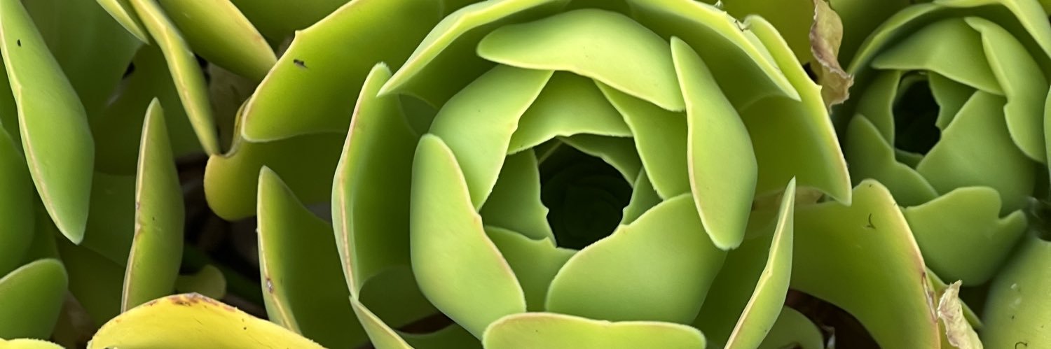 Andrew Edwards banner