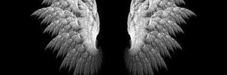 pascalowawa's profile banner image