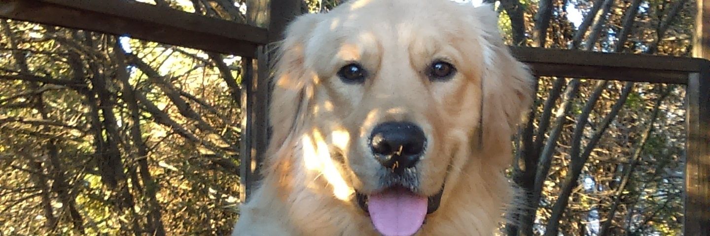 PACunnane's profile banner image