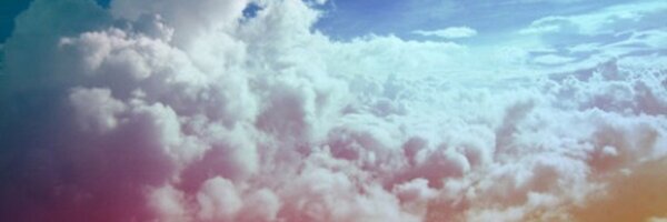 wildflowerred Profile Banner