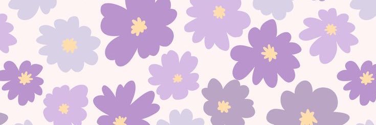 sofivasile_'s profile banner image