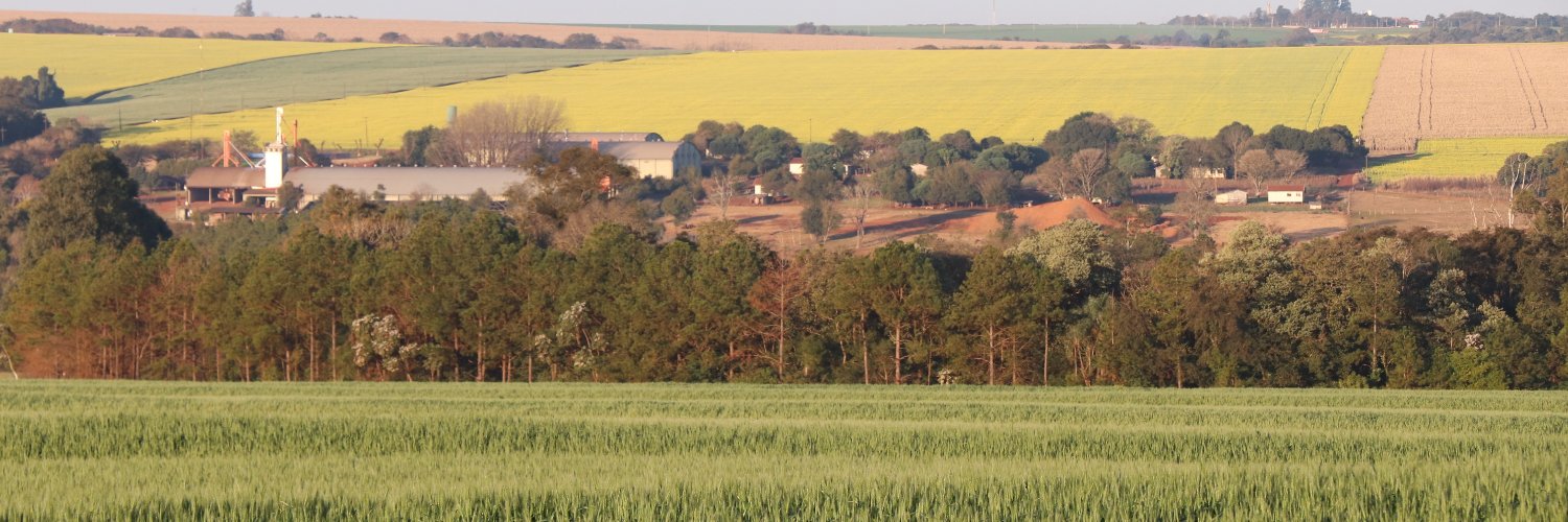 miltonabich1's profile banner image