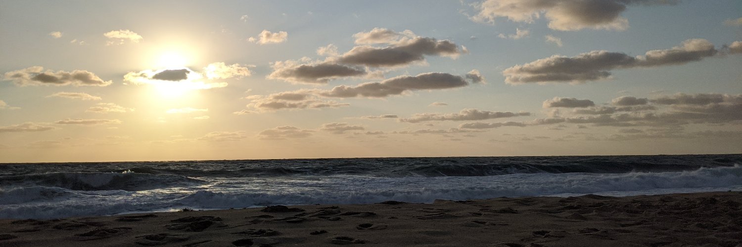 joystersm's profile banner image