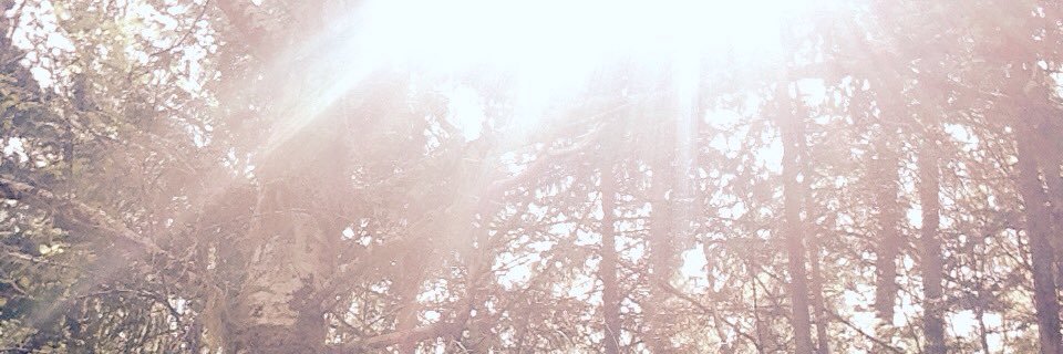 WolfeToday's profile banner image