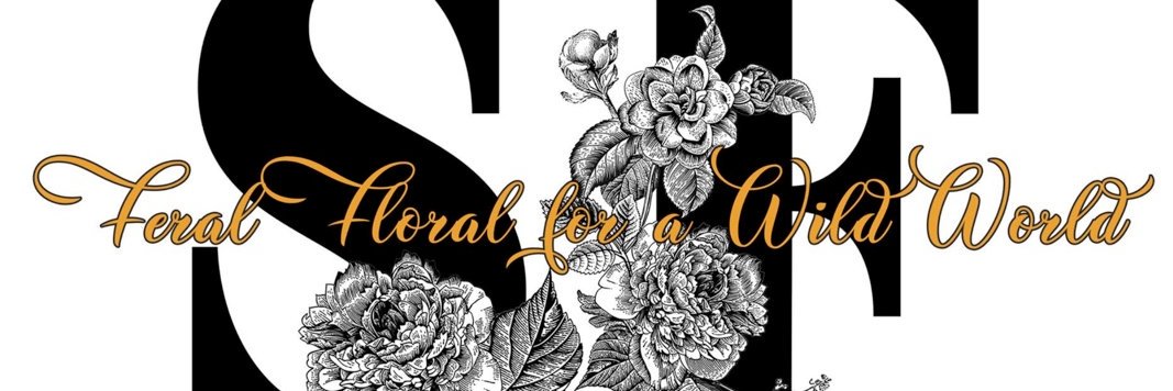spellboundpdx's profile banner image