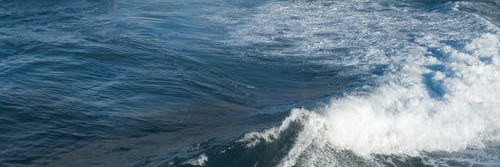 にょ٩( ᐛ )و banner