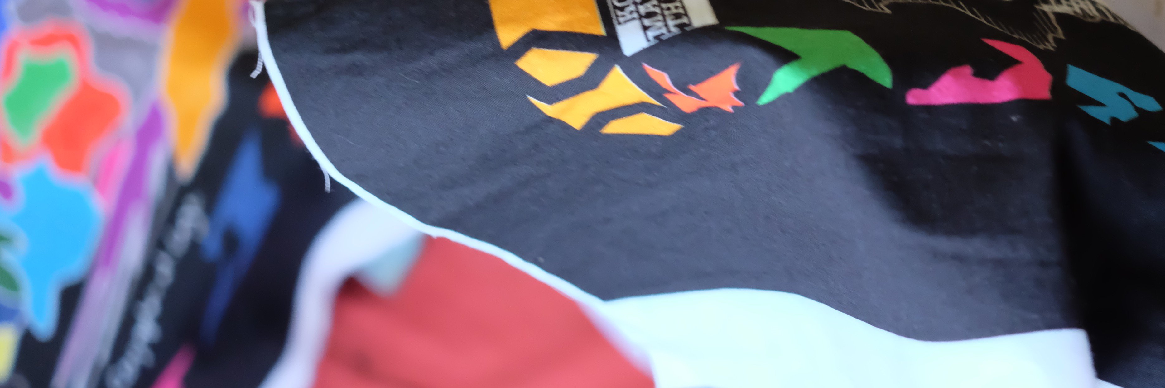 Geographer-at-Large banner
