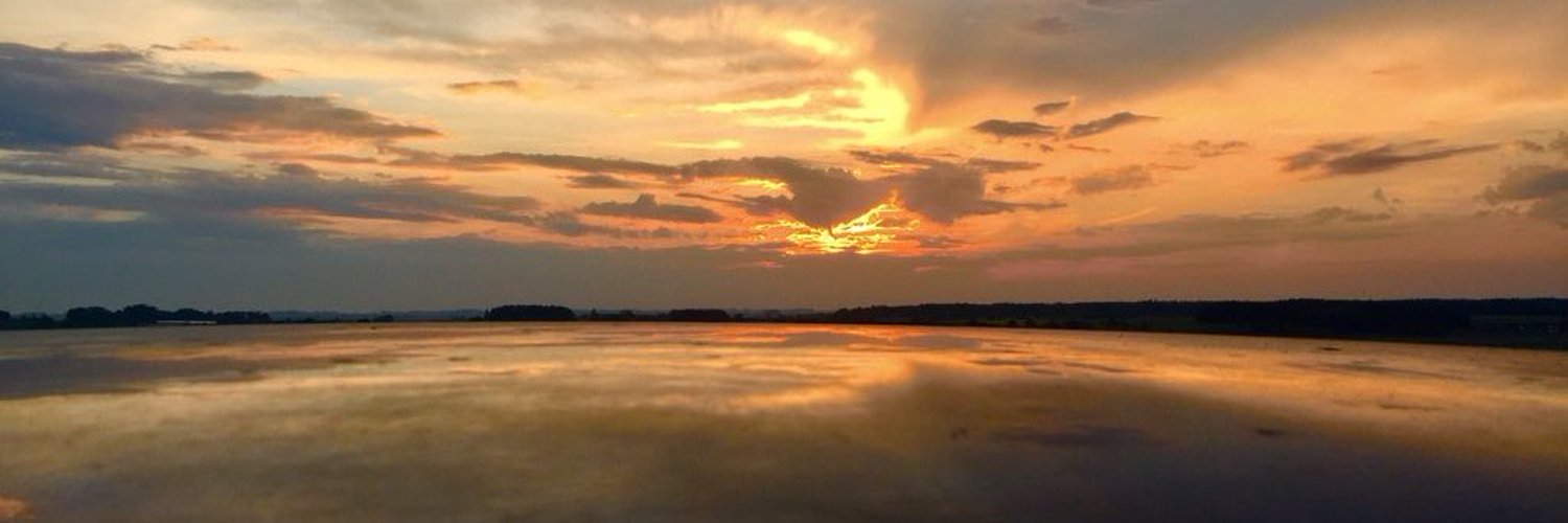 onsesvist's profile banner image