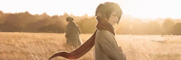gyraexe's profile banner image