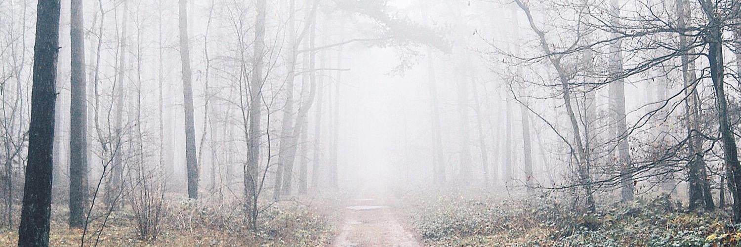 thetrickytree_'s profile banner image