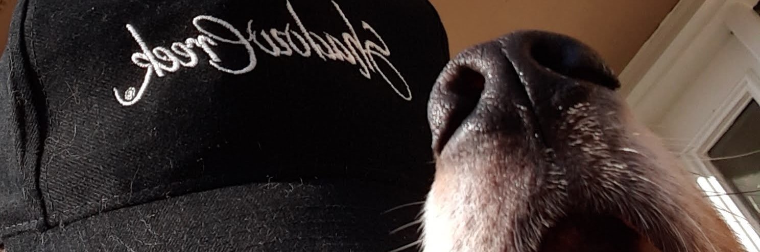 mispeert's profile banner image