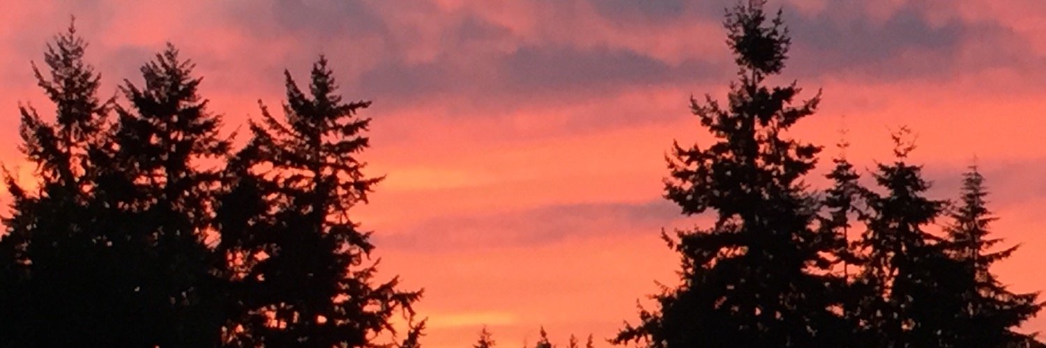megwagner82's profile banner image