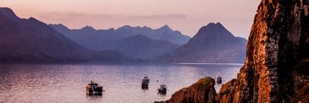 Tim Perceval 🇵🇸🕊️ banner