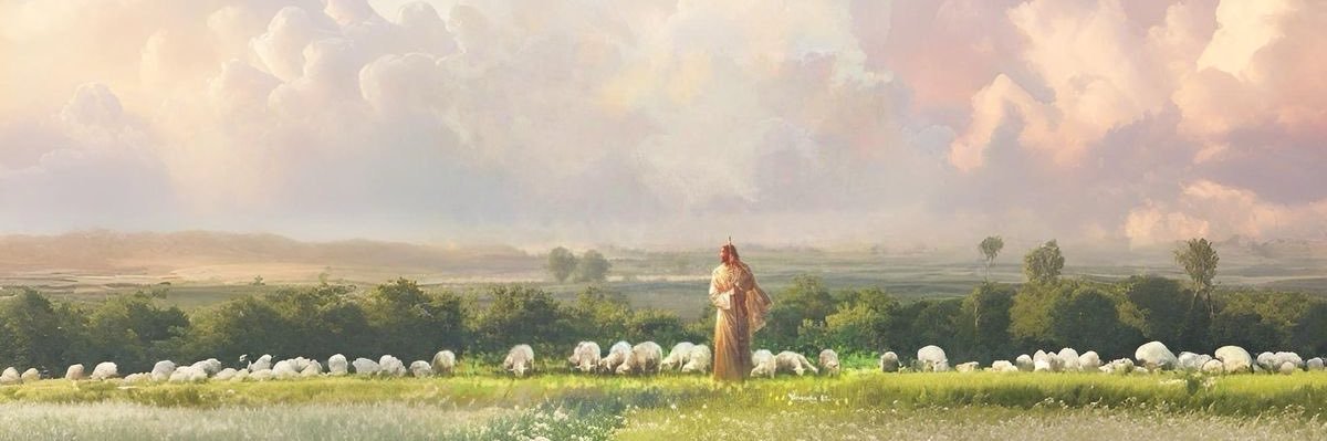 rey2spb's profile banner image