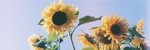 _loveyamm's profile banner image