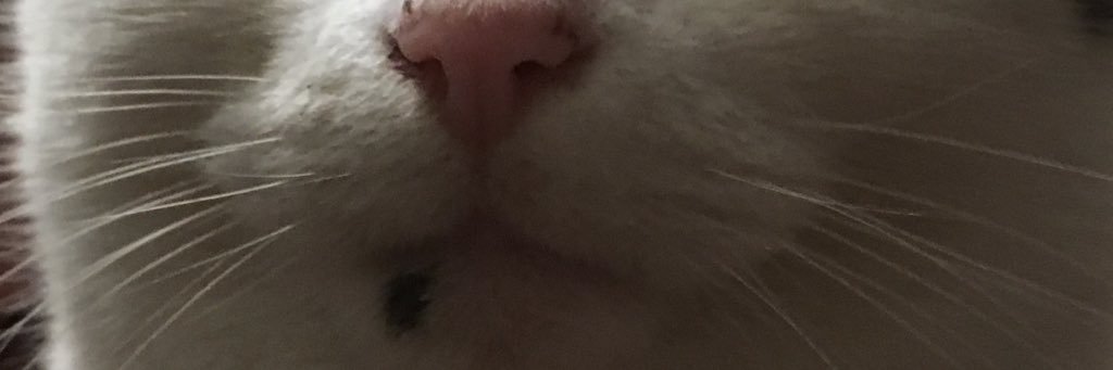 ThomasTMTM13's profile banner image