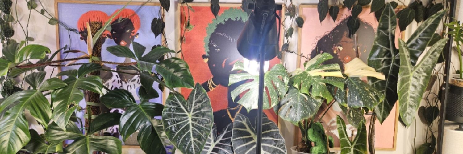 Brother Roots banner