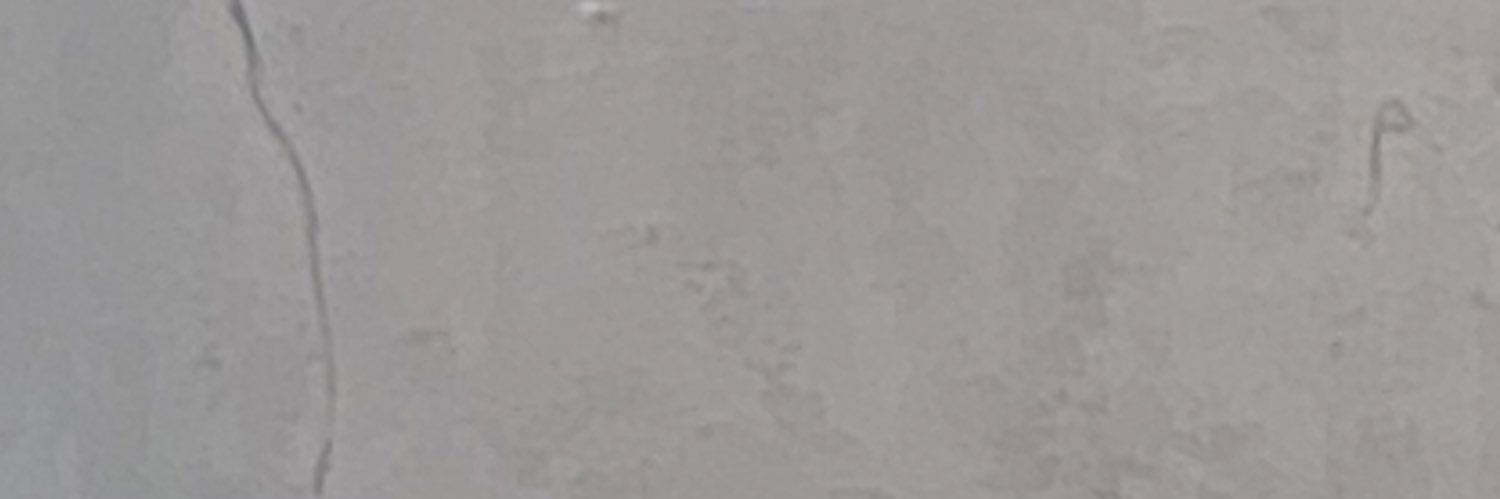 holyhue's profile banner image
