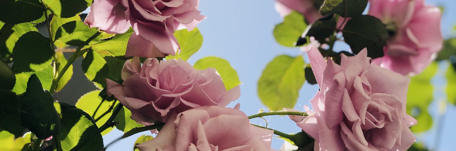 agardenfaery's profile banner image