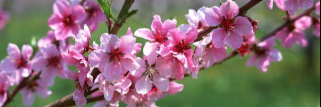 alisonmoore193's profile banner image
